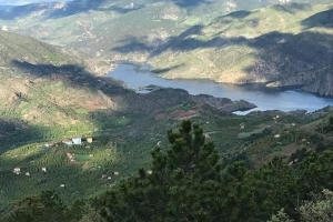 Oğuzlar'dan Görseller