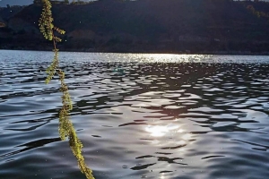 Oğuzlar'dan Görseller