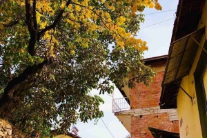 Oğuzlar'dan Görseller