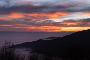 Oğuzlar'dan Görseller