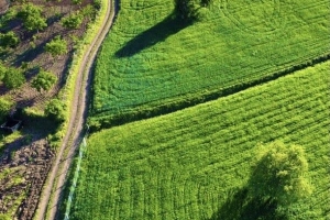 Oğuzlar'dan Görseller