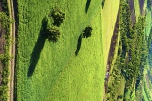 Oğuzlar'dan Görseller