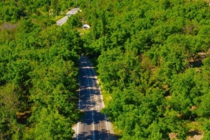 Oğuzlar'dan Görseller